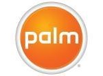 palm